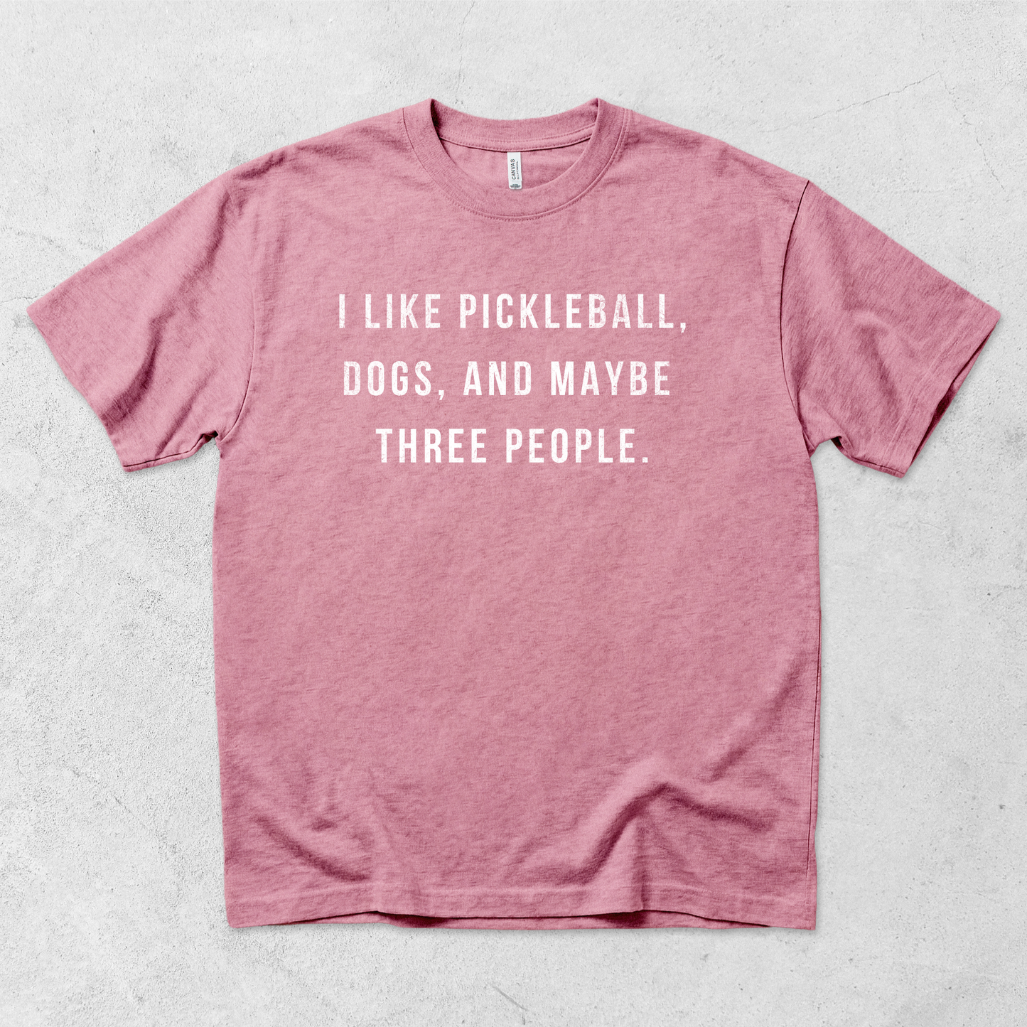 I Like Pickleball, Dogs, and Maybe Three People T Shirt