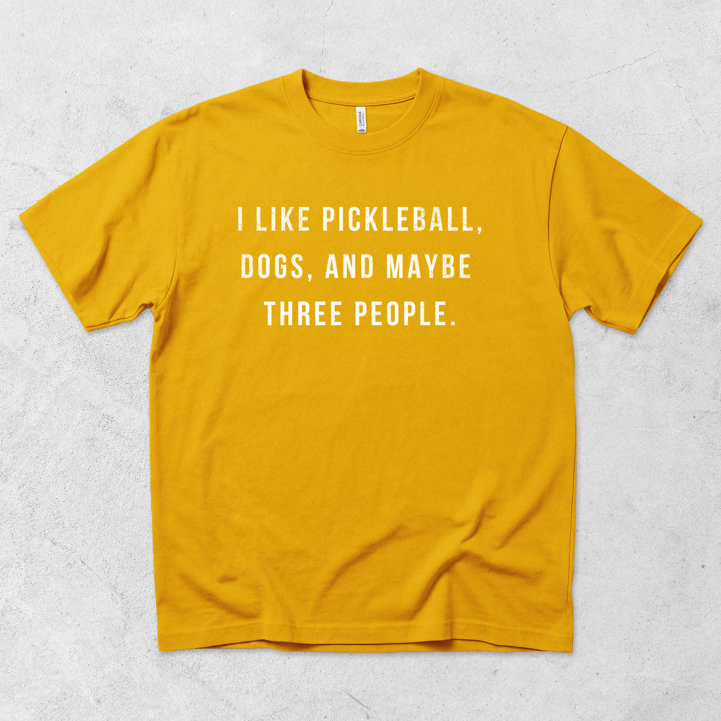 I Like Pickleball, Dogs, and Maybe Three People T Shirt